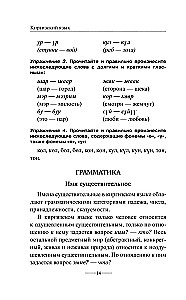 Kyrgyz Language Without a Tutor. Self-Study Guide to the Kyrgyz Language